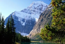 开云体育下载-塔斯马尼亚联球员团队氛围良好，备战世俱杯信心满满