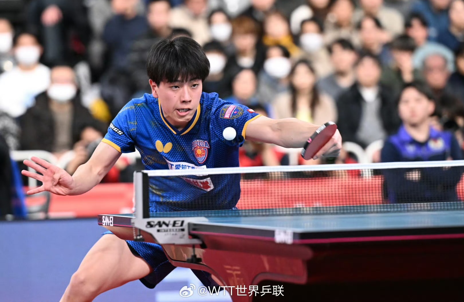 包含日本运动员多次上演精彩表演，引人瞩目的词条
