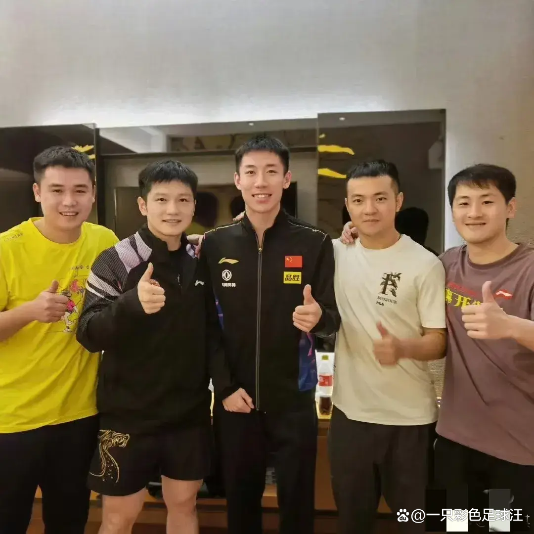 包含奥地利队翻盘法国队，林高远关键制胜的词条