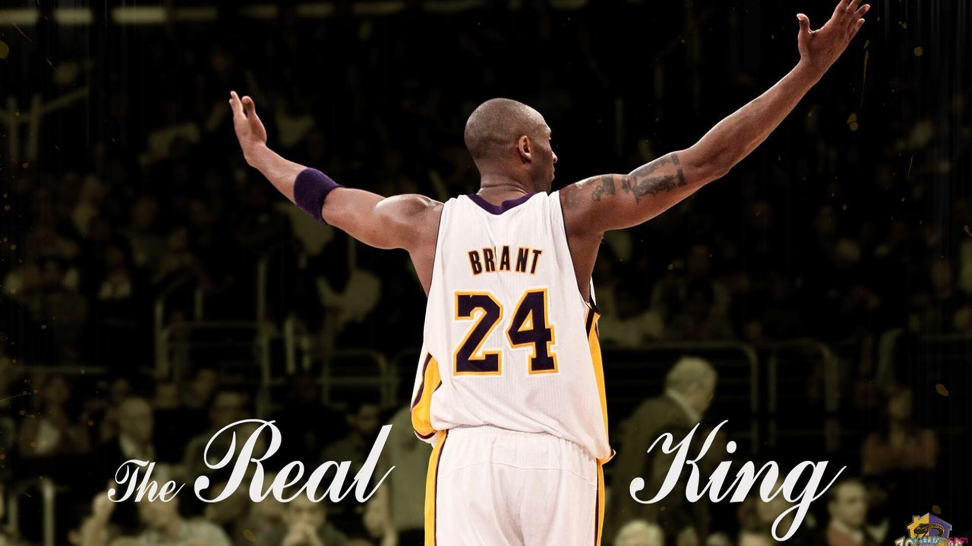 开云体育在线-铁骑踏碎东欧堡垒！王皓肩扛日耳曼战旗破冰前行